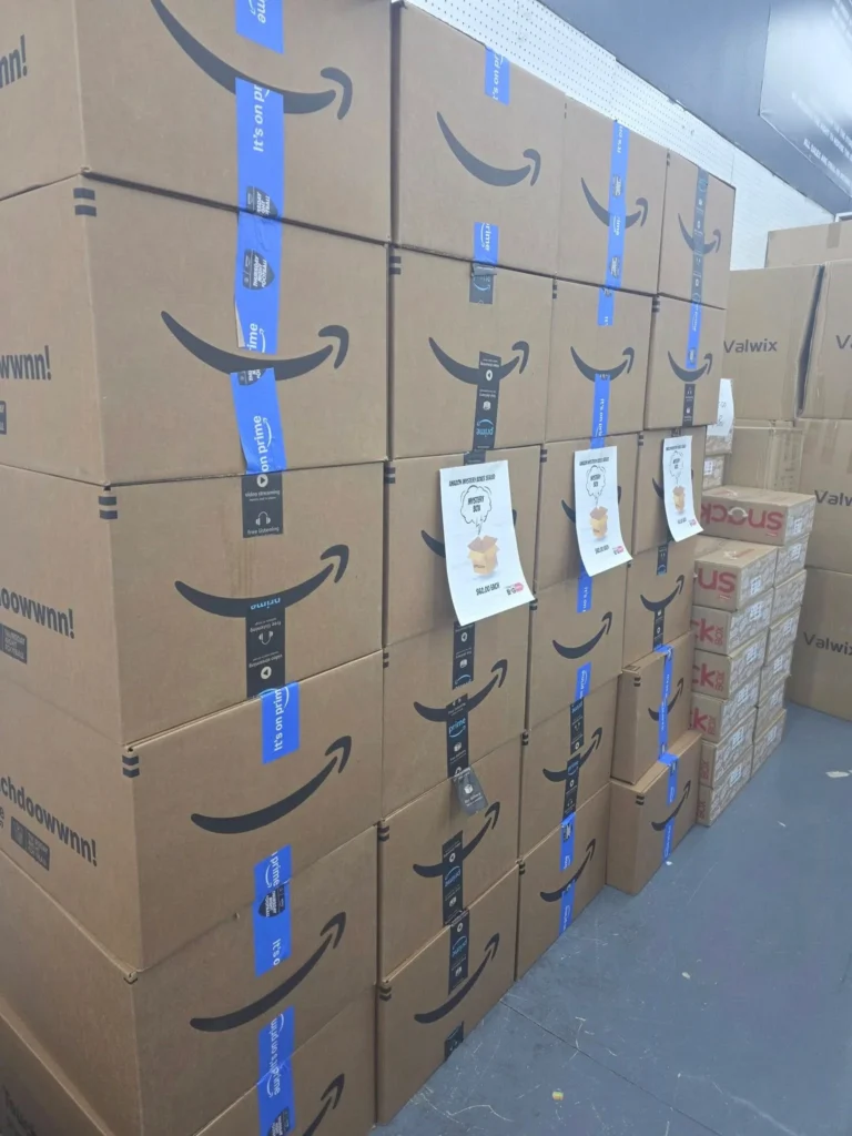 Amazon Mystery Pallets